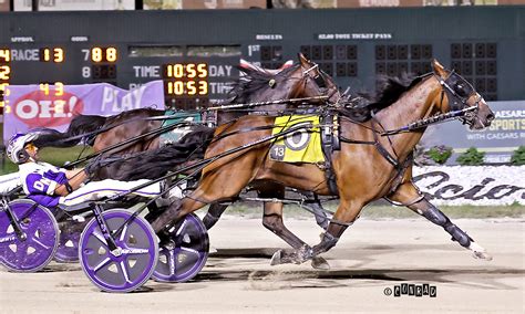 borgata horse racing|Harness Racing: Borgata Showcases Older Pacers .